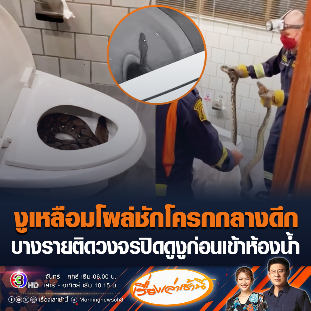 #เรื่องเล่าเช้านี้ ผงะ! งูเหลือมนอนขดอยู่ในชักโครก รีบแจ้งเจ้าหน้าที่มาจับตัวออกไป ขณะอีกคนลงทุนซื้อวงจรปิดมาติดเพื่อดูงูในห้องน้ำ #ข่าวช่อง3 #ข่าวโซเชียล