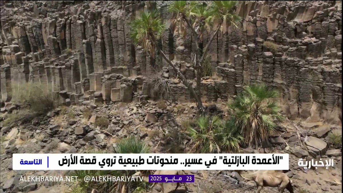 #من_الشاشة | من قلب الطبيعة "الأعمدة البازلتية" في عسير؛ منحوتات طبيعية تروي قصة الأرض. #هيئة_الإذاعة_والتلفزيون