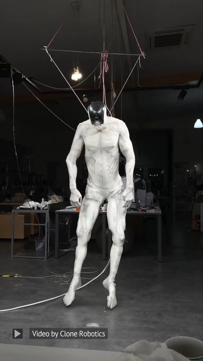 クローン・ロボティクス社の二足歩行筋骨格アンドロイド V1。このアンドロイドには200を超える自由度、1,000 を超える筋線維、200 を超えるセンサーがあるという。エヴァの再現は近いのかもしれない。 甘き死よ、来たれ!