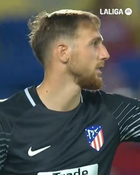 Jan Oblak ha ganado su 6° Zamora. El mejor portero de la historia de la Liga. Qué suerte hemos tenido de poder disfrutarle tanto tiempo. Y hay que seguir disfrutando de él hasta el último día que se marche.