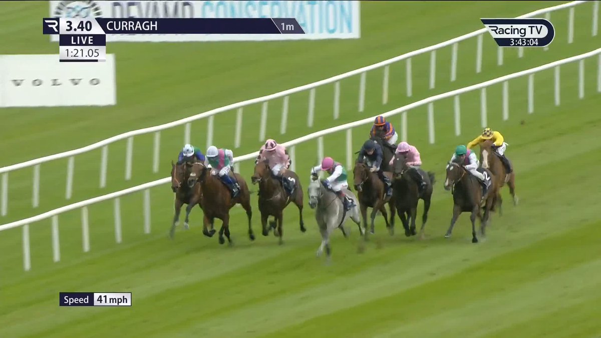 This was IMPRESSIVE 🤩 Field Of Gold dominated the Tattersalls Ireland Irish 2000 Guineas field, emulating his sire Kingman 🏆 The Curragh Racecourse