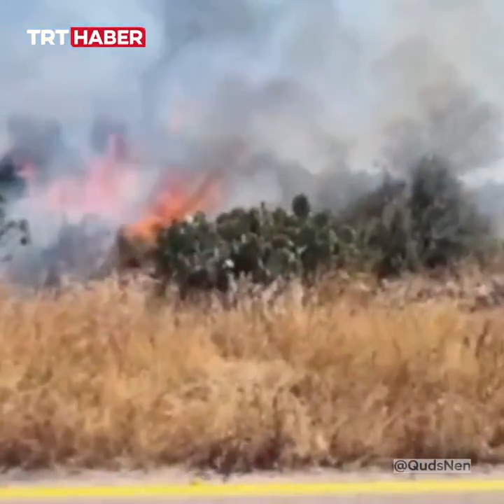 🔴 İsrailli yerleşimciler, Batı Şeria’da Filistinlilerin tarlasını yaktı.