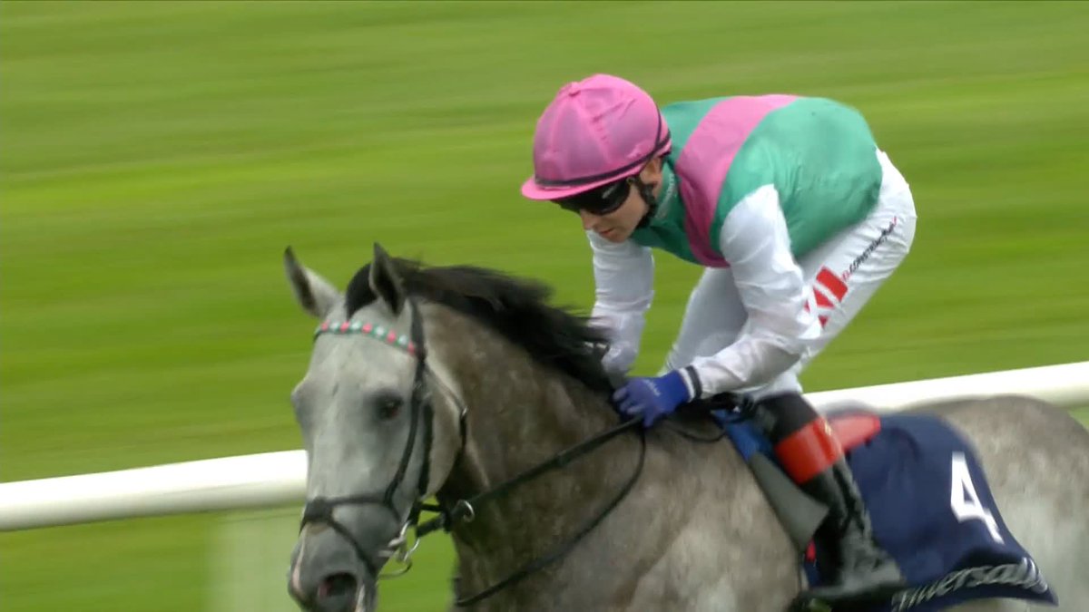 Is Field Of Gold the best miler in Europe? That was massively impressive.