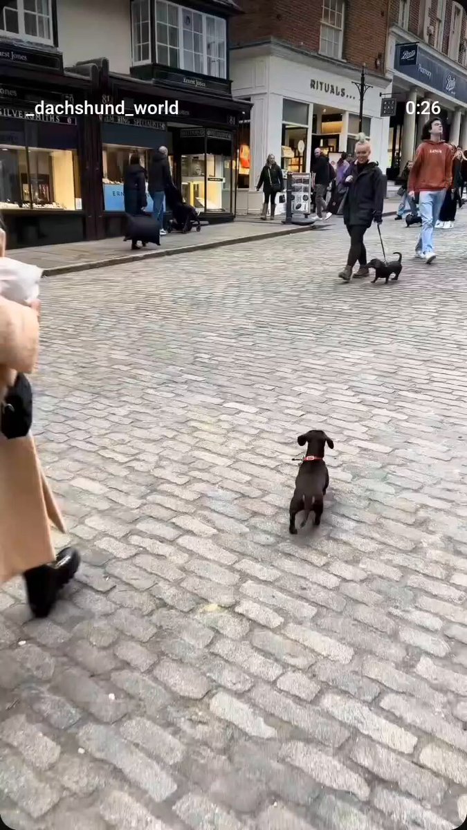 Encontrou um amiguinho