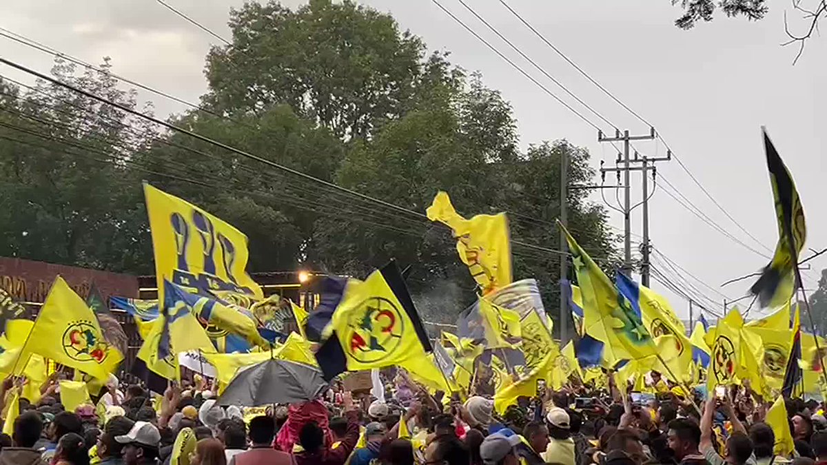 Toluca es americanista Club Amรฉrica
