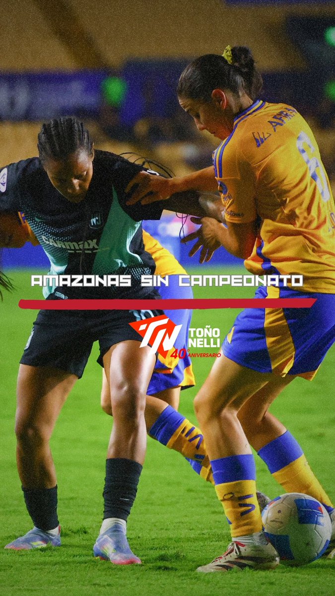 ❌ ESTO NO ES TIGRES ❌