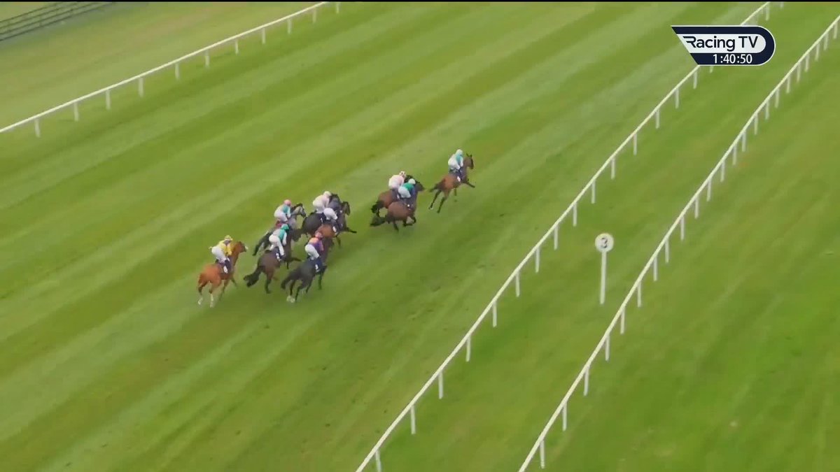 🗣️ "Henri Matisse, I think, will beat him [Field Of Gold] over a mile." Martin Dwyer shares his opinion on the two Classic winners, with Gary O'Brien and Donn McClean also having their say. Field Of Gold vs. Henri Matisse - who would win? 👀