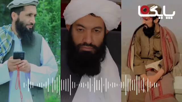 د بدخشان طالبان د خپل والي له جهالت او نالوستي شکایت کوي او وایې چې والي یوه عریضه په سم ډول نه شي لوستلای، په ځان پسې یې دروازې داسې تړلي چې د بدخشان مجاهدین په میاشت کې هم تر والي پوري ځان نه شي رسولی... بلې خوا ته د بدخشان د اداري د یوه مسؤل غږ دی چې له جلسو او غونډو یې خپل افراد/طالبان منعه کړي… استبدادي رژیمونه د ولس له را غونډیدلو ډارېږي، بلکې د خپلو افرادو له تجمع هم ویره لري. د ټوپک په شپېلیو او په زور حکومت نه کېږي، که وشي بقا نه لري. ملا صیب! یا به ولس ته په درنښت قایلېږي او یا به بستره په څټ کې اخلي. دا لیکنه در سره سکرین شاټ کړه.