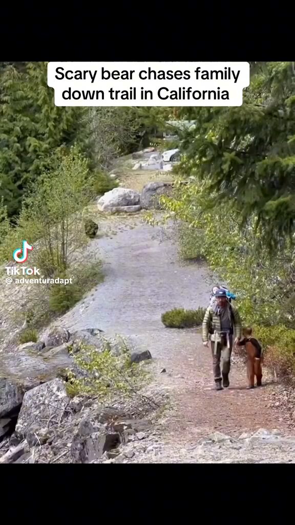 Scary. Bear chases down family out for a hike in California.