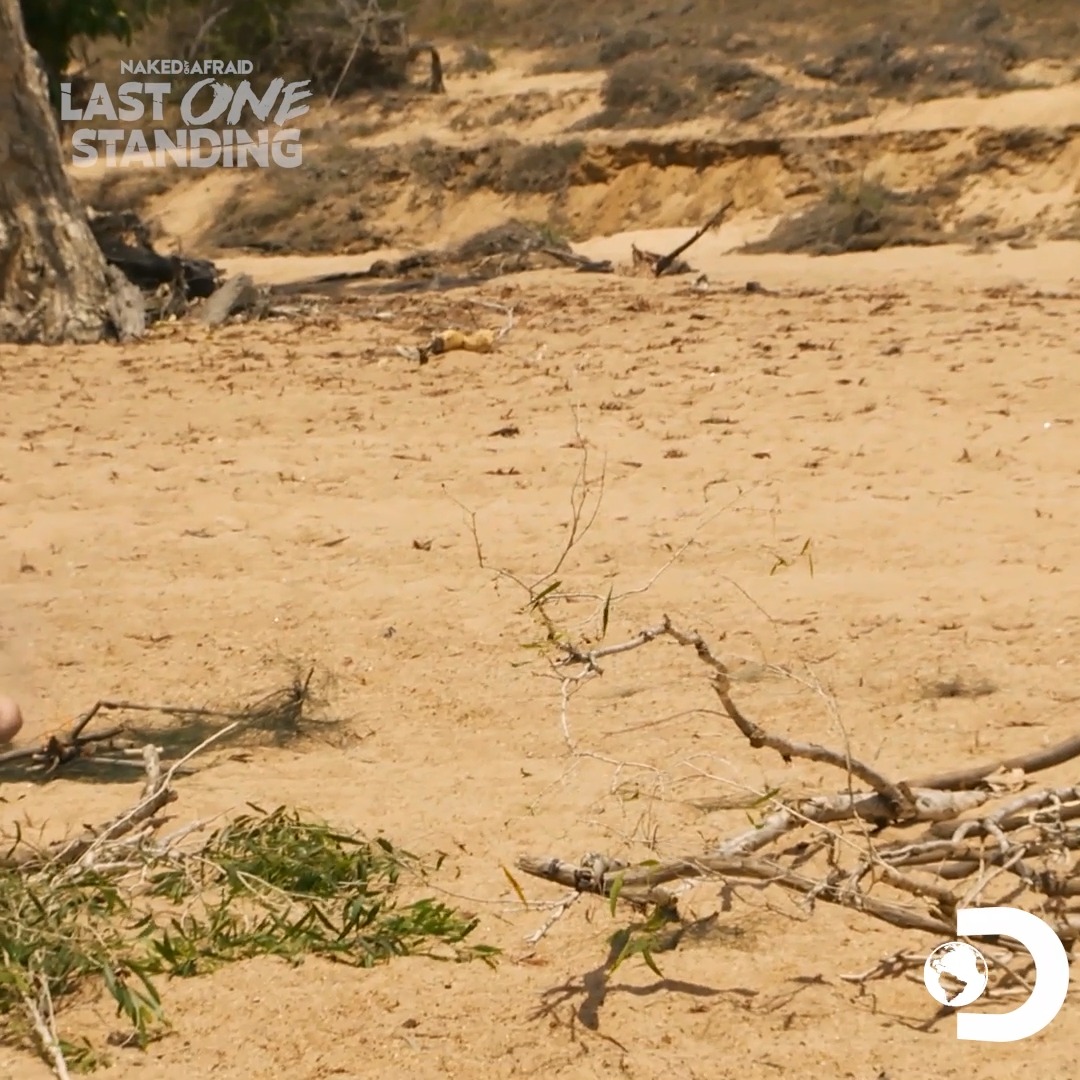 Could a communication barrier cost them the competition? #NakedandAfraid: Last One Standing starts NOW on Discovery!