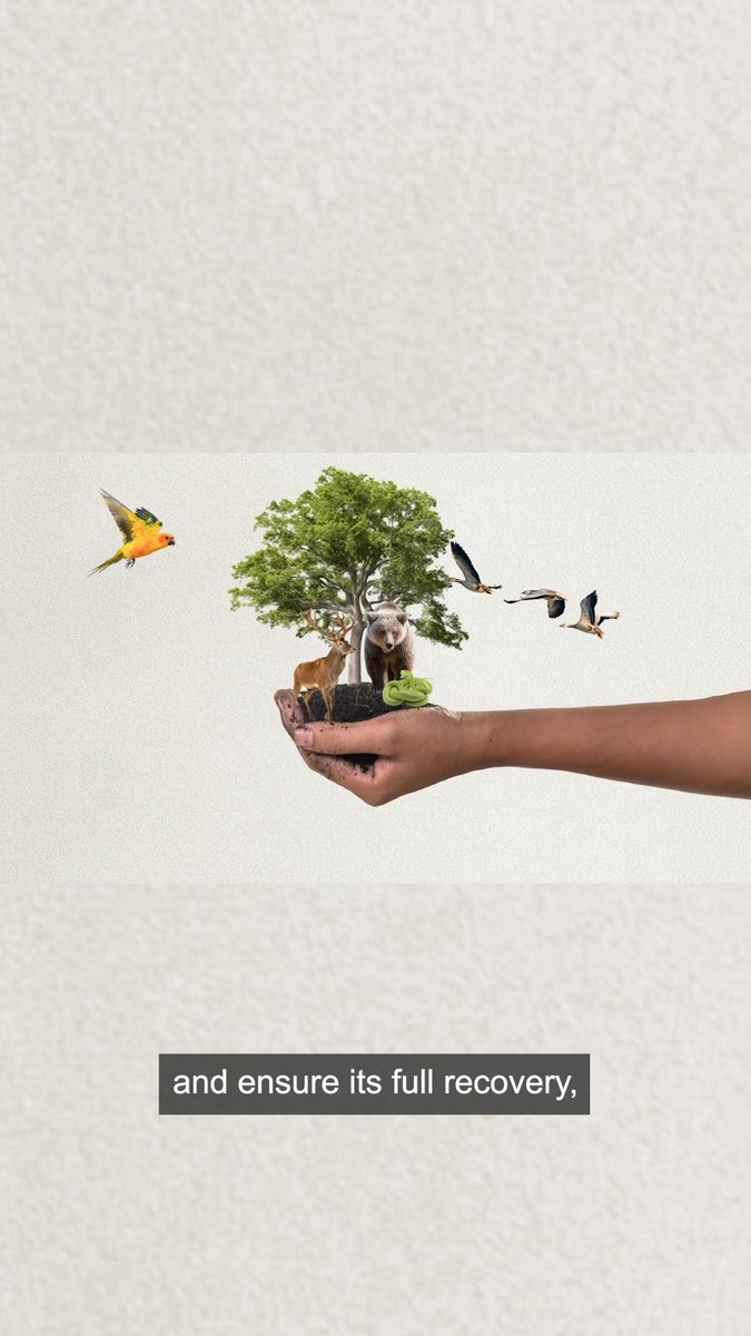 Our food systems are deeply tied to nature. But right now, they’re driving its decline. - 80% of deforestation - 70% of freshwater use …driven by how we produce and consume food. To protect biodiversity, we must shift to sustainable & nature-friendly choices. #WWFUntangled