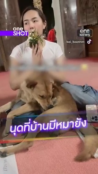 แค่มาสวดมนต์ แต่ดันได้เพื่อนเพิ่ม #oneShot