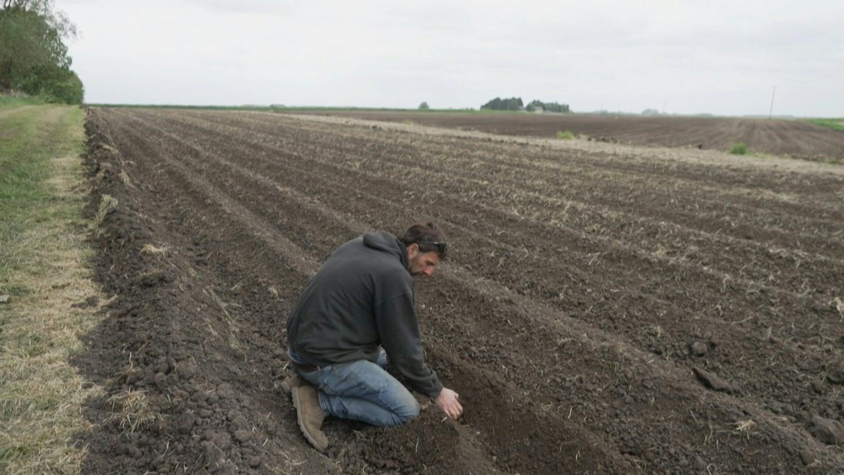 🇬🇧 VIDEO: Farmer Luke Abblitt hasn't seen any rain fall on his farm in the east of England since March, leaving his crops stunted as summer approaches and the climate is only set to get harsher.