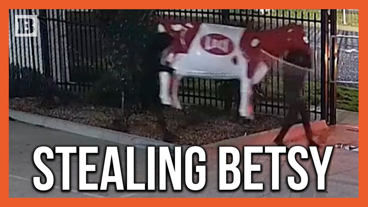 The Victoria Police out of Australia are seeking the public's assistance to identify suspects who stole "Betsy," a fiberglass cow from a business near the Melbourne area, back in late April.