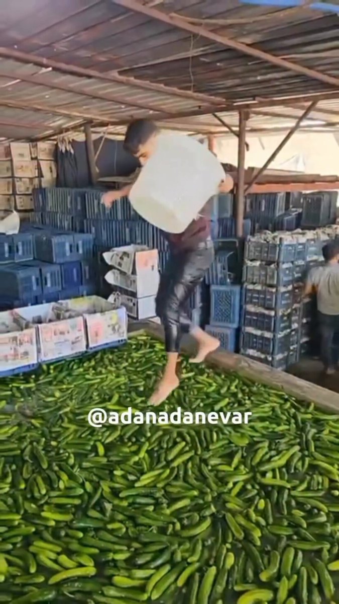 Adana İncirlik’te bulunan bir tesisten görüntüler… 🎥 Adana’da Ne Var?