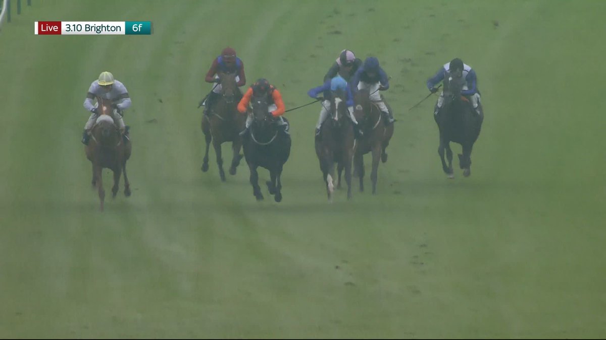 "He's dropped his whip, but it doesn't matter!" There's no stopping Senorita Vega at Brighton Racecourse, who strikes gold at the third time of asking in style for Pierre-louis jamin and Tom Dascombe...