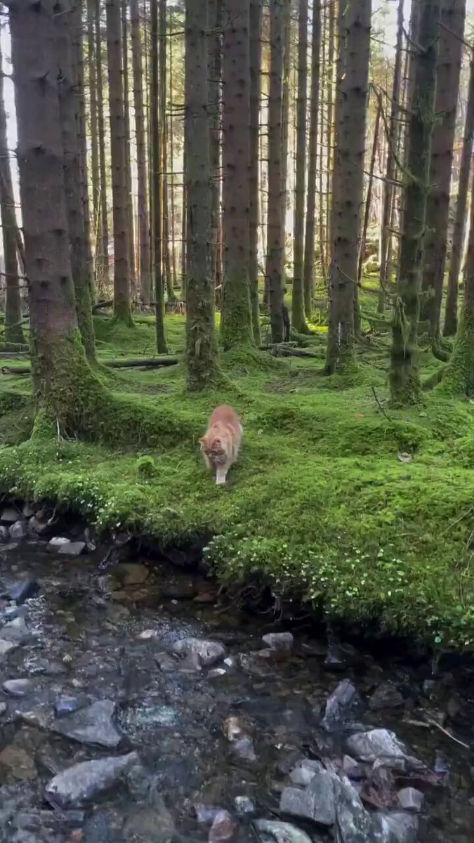 little adventure