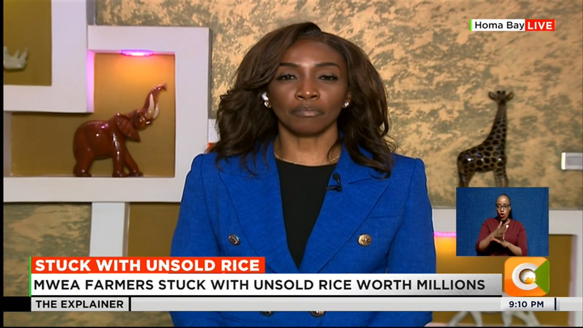 Stuck With Unsold Rice: Mwea farmers stuck with unsold rice worth millions Thousands of bags lying in stores due to lack of buyers Farmers blame glut on influx of imported rice Mwea farmers call on government to buy surplus stock #CitizenExplainer Yvonne Okwara