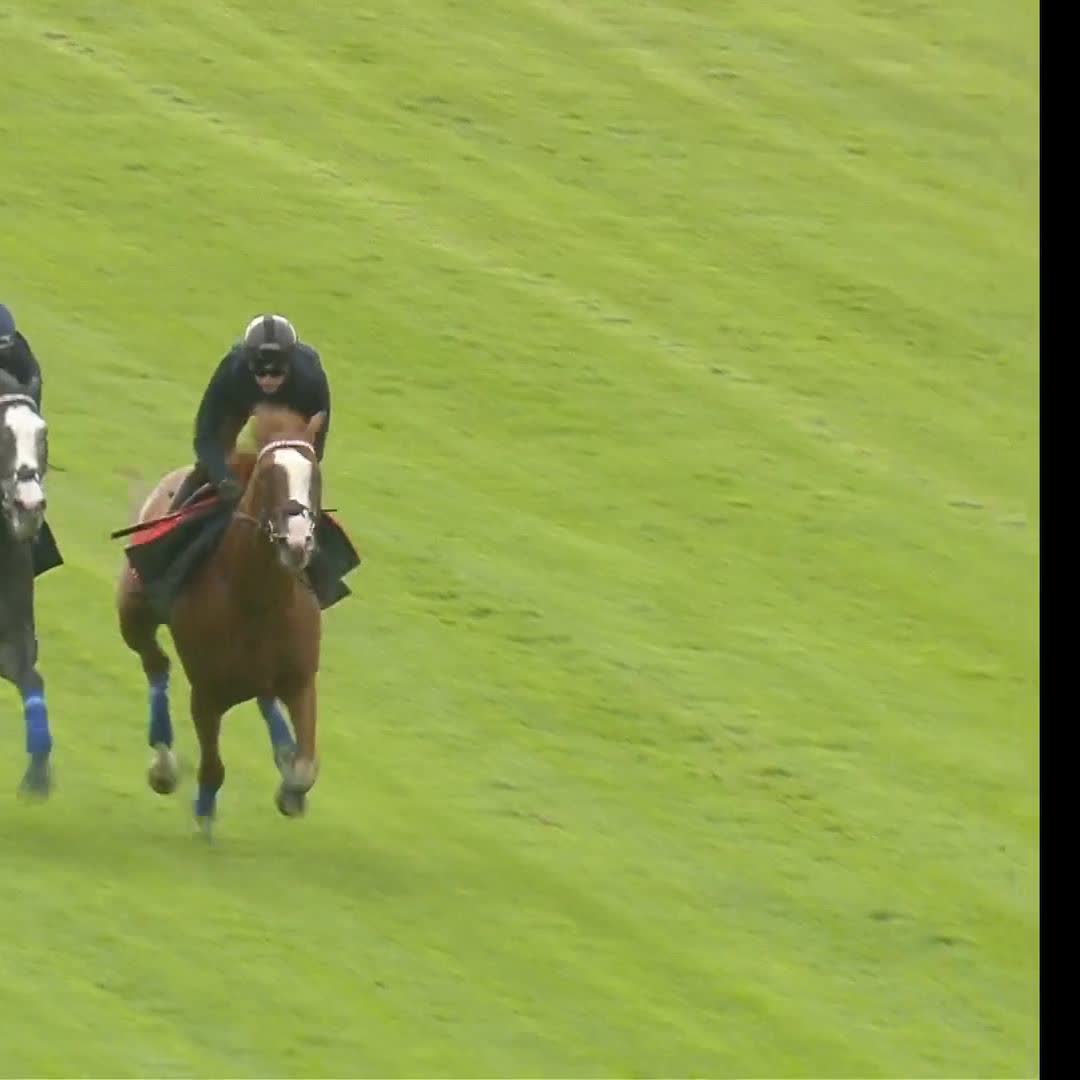 Frankel colts DAMYSUS and NIGHTWALKER working this morning at Epsom. The dream is alive.