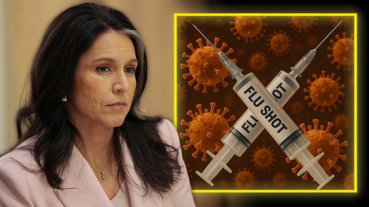 BREAKING: The FDA Has Known For At Least 20 Years That Flu Shots Cause A Massive Increase In Flu Cases & Lead To Early Death Meanwhile, Tulsi Gabbard Has Released Documents Proving That The Biden Admin Secretly Listed Millions Of Ameicans Who Questioned The Tyrannical COVID Lockdowns As Domestic Terrorists