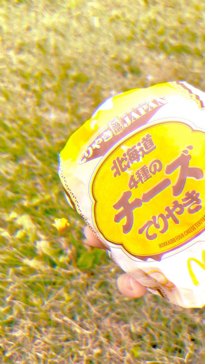 てりやきJAPANとおでかけしました #てり撮り #てりやきふりむき界隈