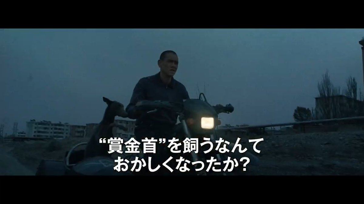 『#ブラックドッグ』日本版予告編＆本ポスターが解禁🎊罪を背負った青年と、賞金を懸けられた黒い犬が出会い、“野良犬同士”の奇妙な絆を育んでいく孤高のヒューマンドラマ🎞#カンヌ映画祭「ある視点」部門グランプリ受賞！ #エディ・ポン #グァン・フー #ジャ・ジャンクー