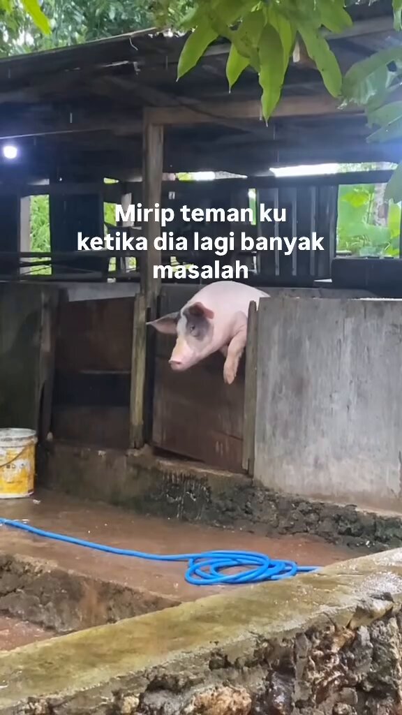 mirip siapa nih