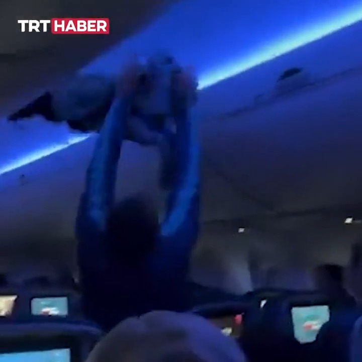 ABD’de bir yolcu uçağına 2 güvercin girdi.