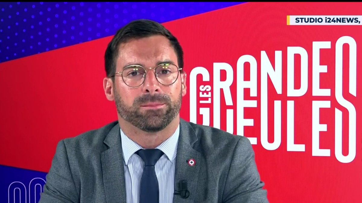 "Non, l'armée israélienne ne tue pas des bébés et il n'y a pas de génocide à Gaza" Julien Odoul (Julien ODOUL) député RN de l'Yonne