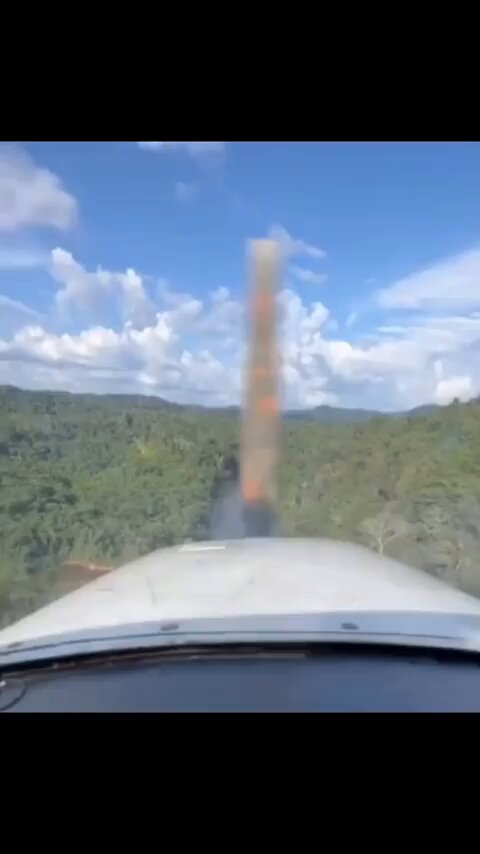 Who else like jungle flights?✈️