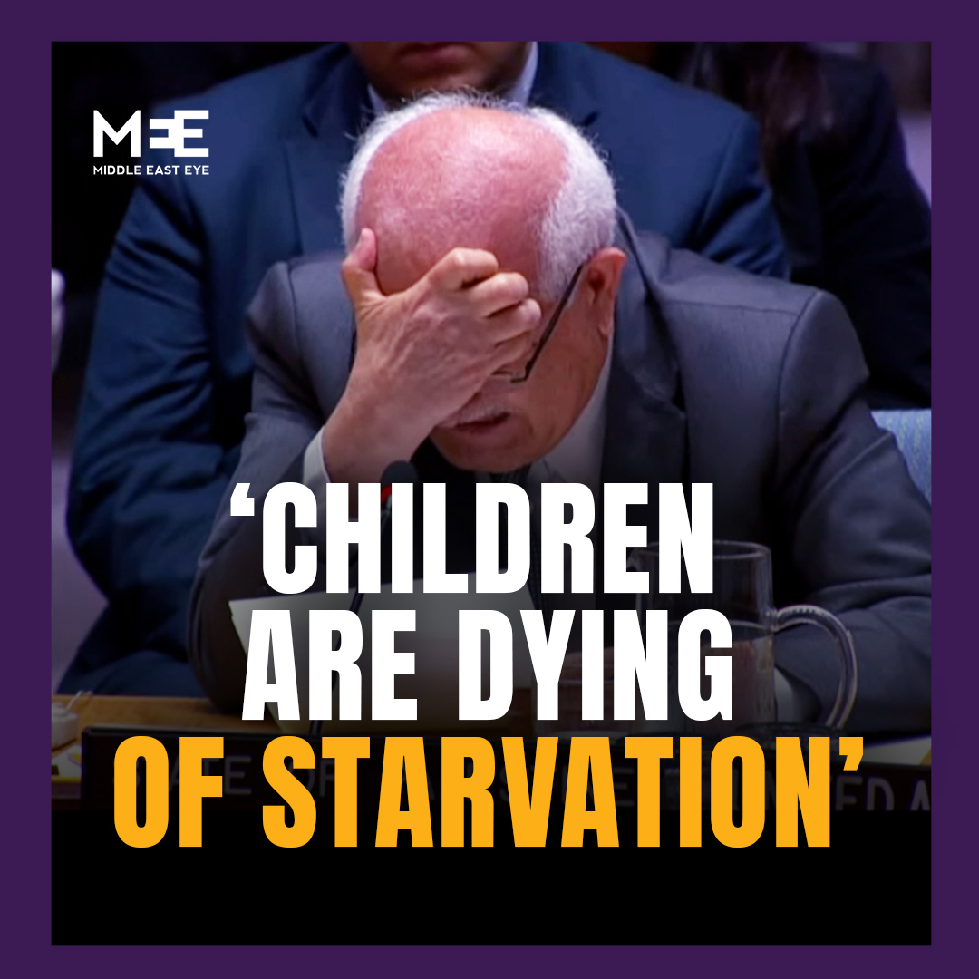 “Flames and hunger are devouring Palestinian children.” Palestinian ambassador to the United Nations, Riyad Mansour, broke down in tears while recounting the children killed in Gaza during his address to the Security Council on Wednesday