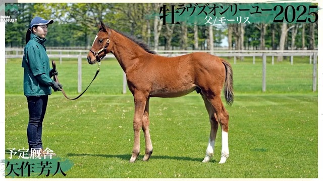 ラヴズオンリーユー2025(牡.当歳) 父 モーリス 母 ラヴズオンリーユー 厩舎 矢作 芳人/関西 募集総額 1億8000万円/3000口 一口金額(一括) 60000円 一口金額(分割) 3160円/19回 歴史的牝馬が放つ第三の矢 父母共に海外GⅠ3勝 6月10日(火)18時頃 募集開始予定 ▽詳細へ