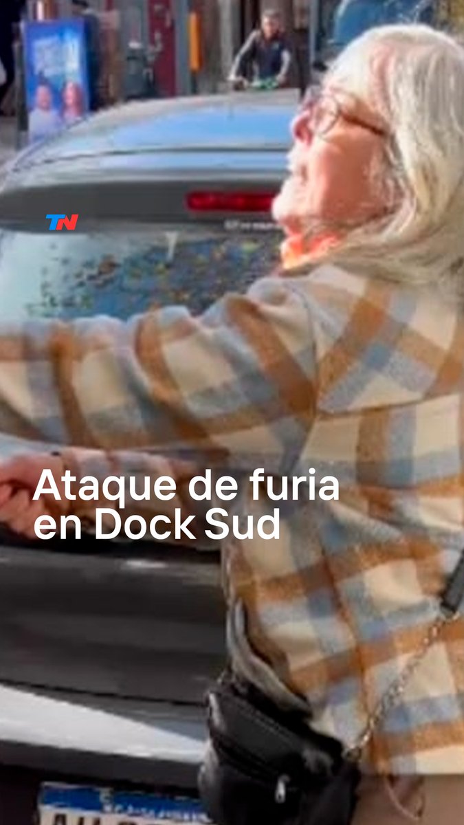 "¡AHÍ LO TENÉS! ¡TE LO DIJE! ¡LO CORRÉS!" I Una mujer discutió con un chofer y le destrozó el camión con un fierro. Lo corrés”. Ocurrió en Dock Sud, partido de Avellaneda.
