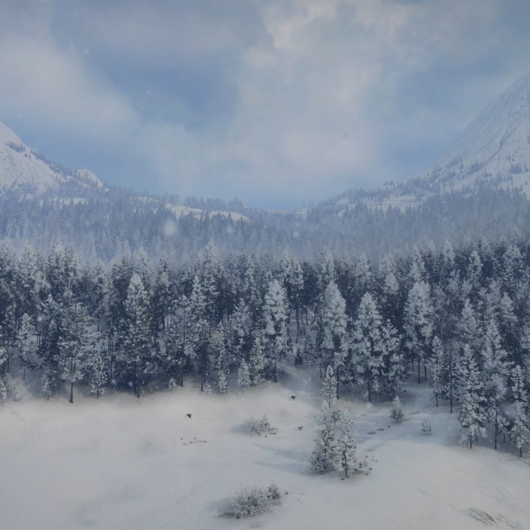 Alberta's beauty, blanketed in snow ❄️