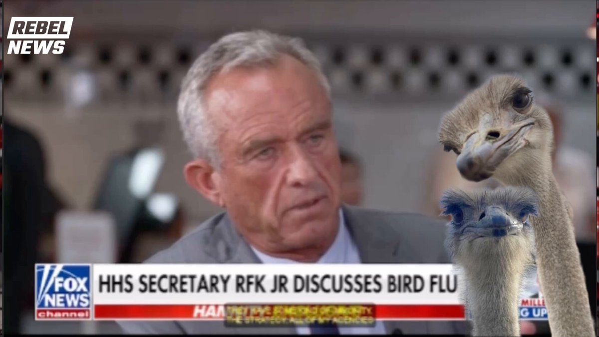 OSTRICH FARM NEWS: In March, U.S. Secretary of Health Robert F. Kennedy Jr. discussed why the Trump administration wants to move away from vaccines / mass culling for the avian flu. Says vaccines can increase likelihood of illness crossing to humans.