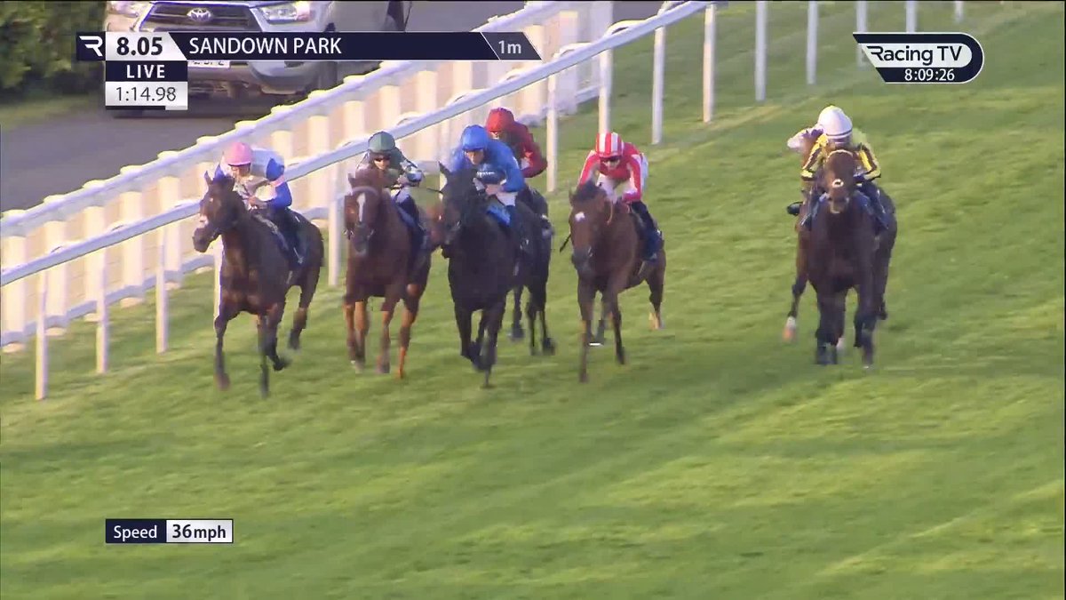 🔵 Opera Ballo delivers in the Heron