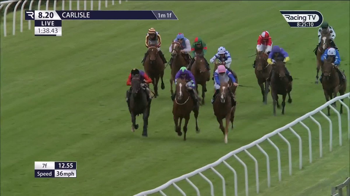 👑 Hope you were on Your Majesty The King's Falcon opens his account at the fourth time of asking at Carlisle Racecourse