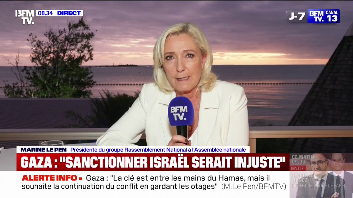 "Je trouve l'idée de sanctionner Israël profondément injuste", déclare Marine Le Pen