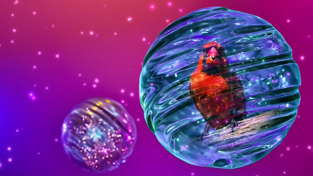 Unreal Fest Orlando is heading your way next week! Unrelated, but did you know the state bird of North Carolina, where Epic HQ resides, is the Cardinal?