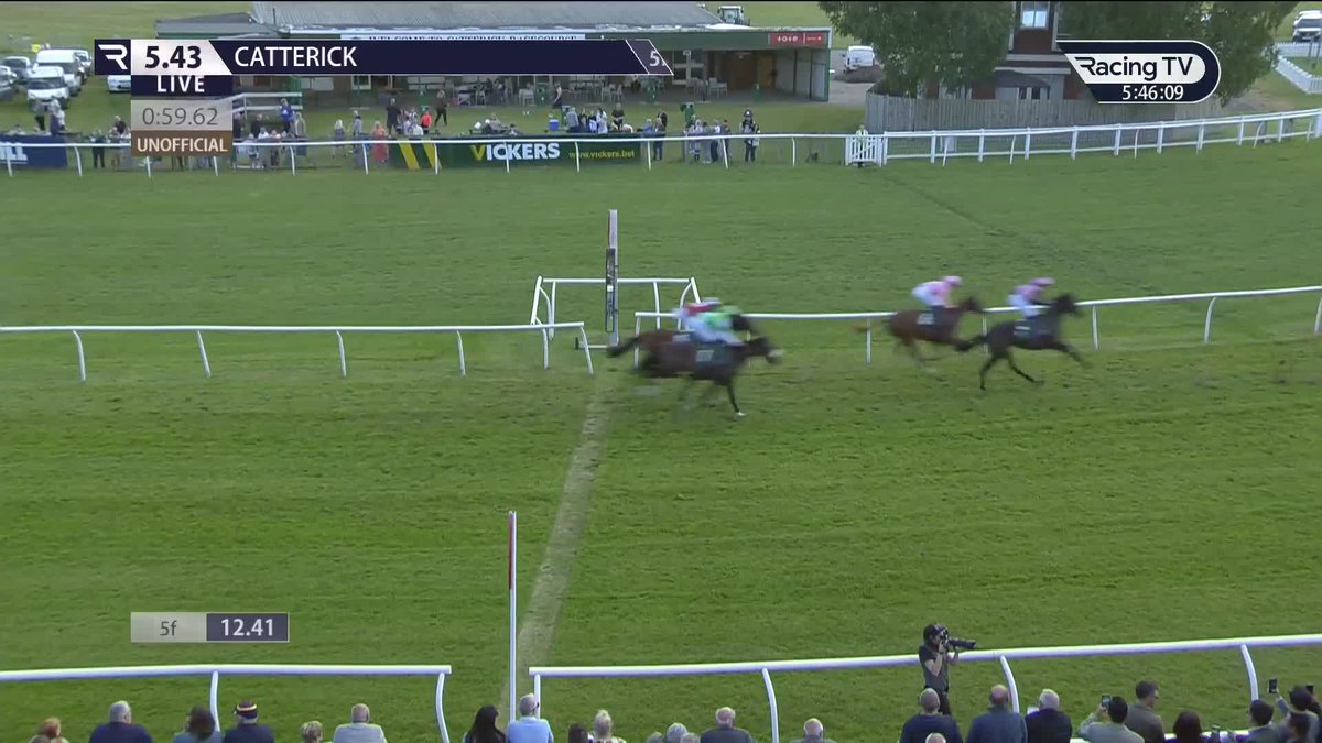 ✅ Smooth debut from Gaga Mate (Mehmas) Catterick Racecourse | Dylan Cunha Racing LTD