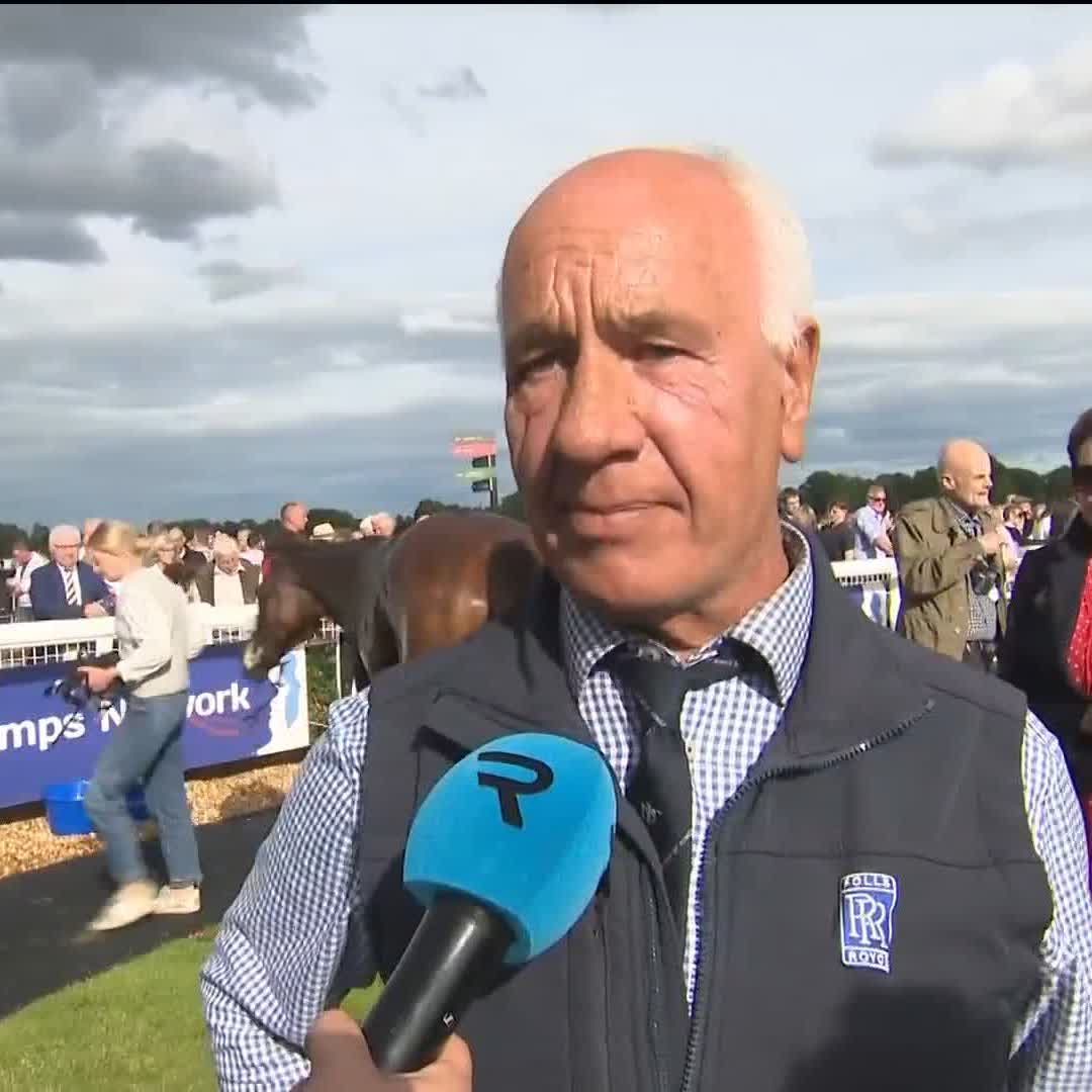 🗣️ "On our gallops this horse would beat Constitution Hill." Joe O'Shea on Barton Snow. Glorious stuff with Tom Bull