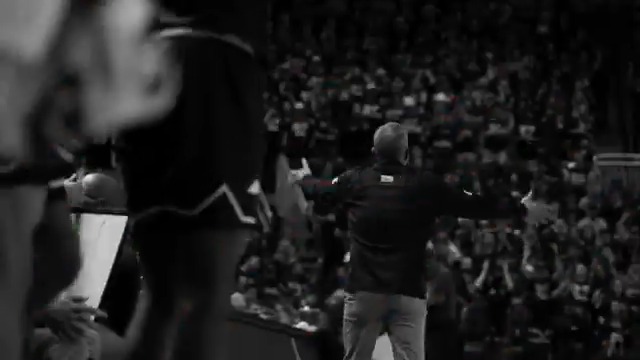 Roars begin in the shadows 🔥