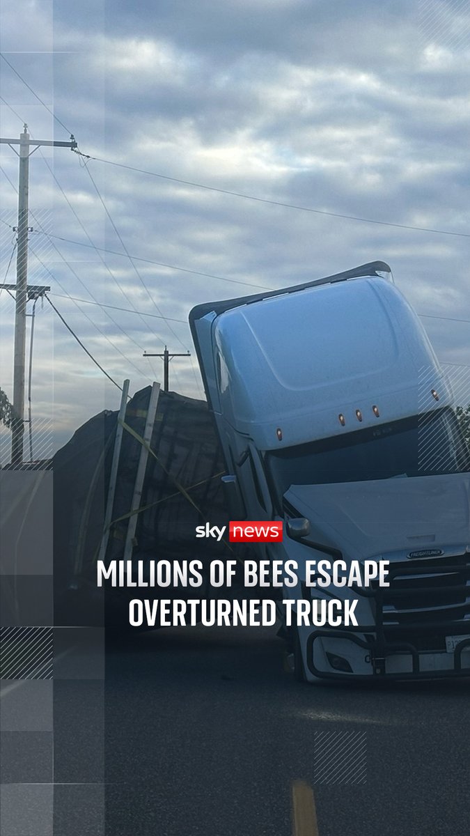 A truck carrying about 70,000 pounds of live honey bee hives has overturned in northern Washington, releasing millions of bees.