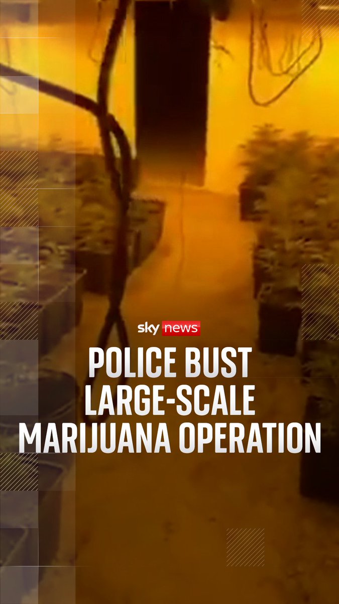 Police in Spain have arrested two people after finding 2,000 marijuana plants growing inside indoor greenhouses in Murcia. The two people were arrested on suspicion of drug cultivation and electricity fraud.