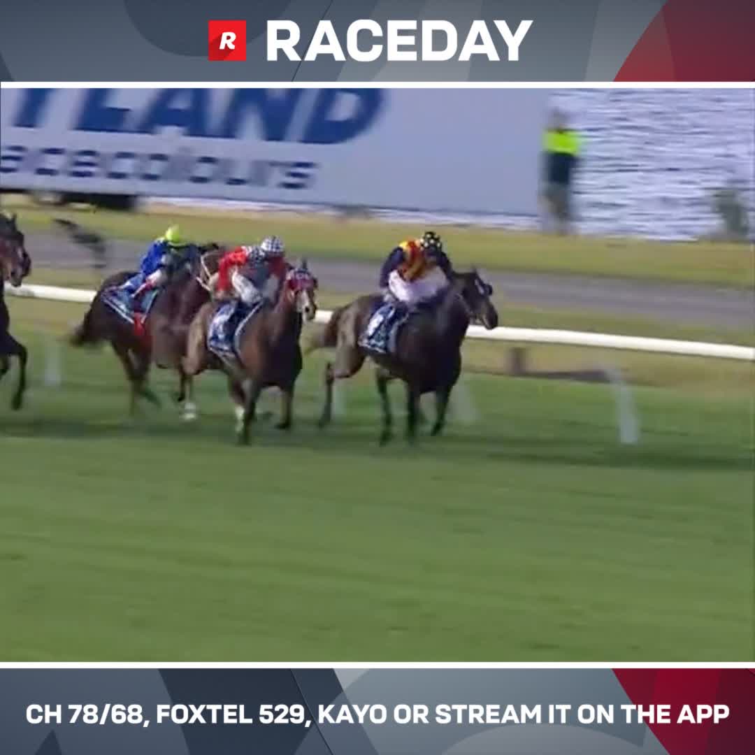 Diwali relishes the two-mile test of the Listed Sandown Cup ⭐️ Gavin Bedggood Racing's strong form continues 🔥