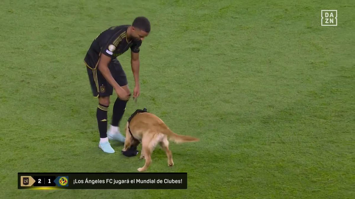 Qué bonito es celebrar tus éxitos con quien más quieres ❤️🐶 FIFA Club World Cup | De l 14 junio al 13 de julio | Todos los partidos gratis en | #FIFACWC #TakeItToTheWorld