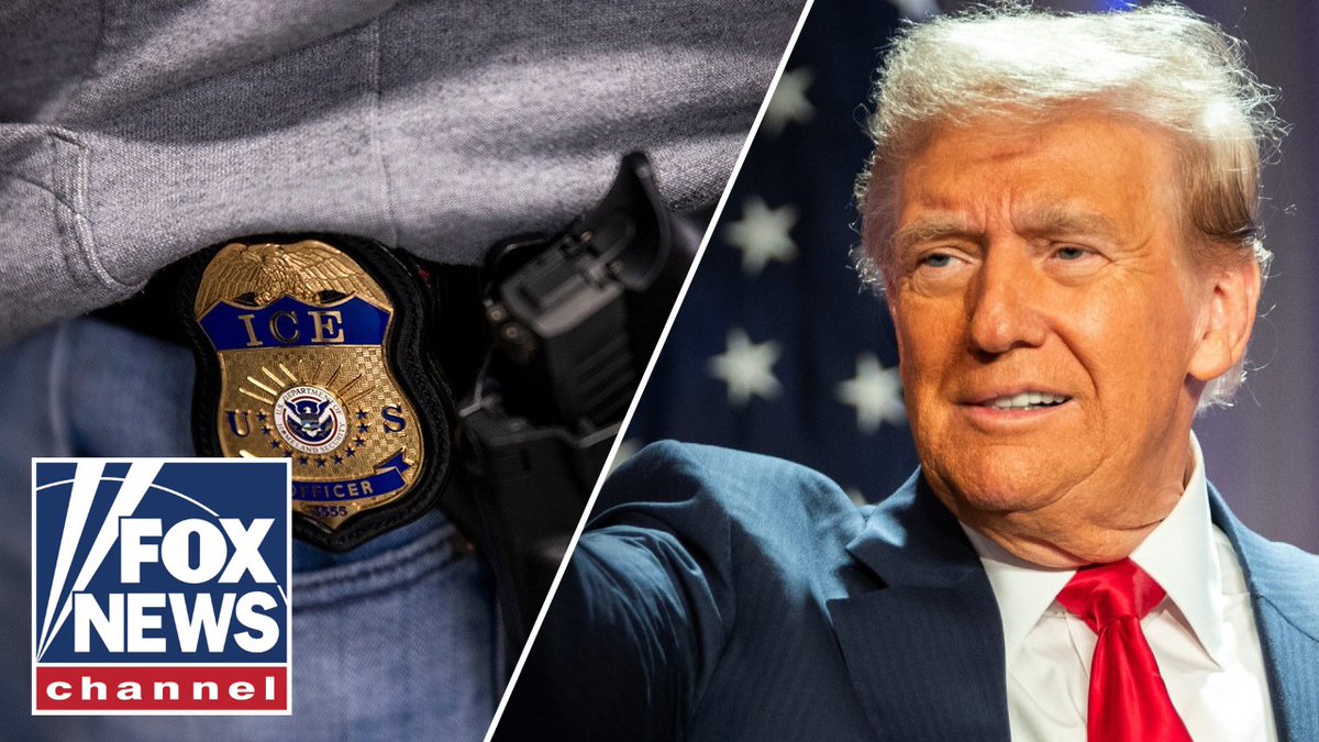 Former Trump DHS acting Chief of Staff Lora Ries calls on Congress to "hurry up" and pass the reconciliation bill so U.S. Immigration and Customs Enforcement can deliver on @realdonaldtrump's deportation mandate.