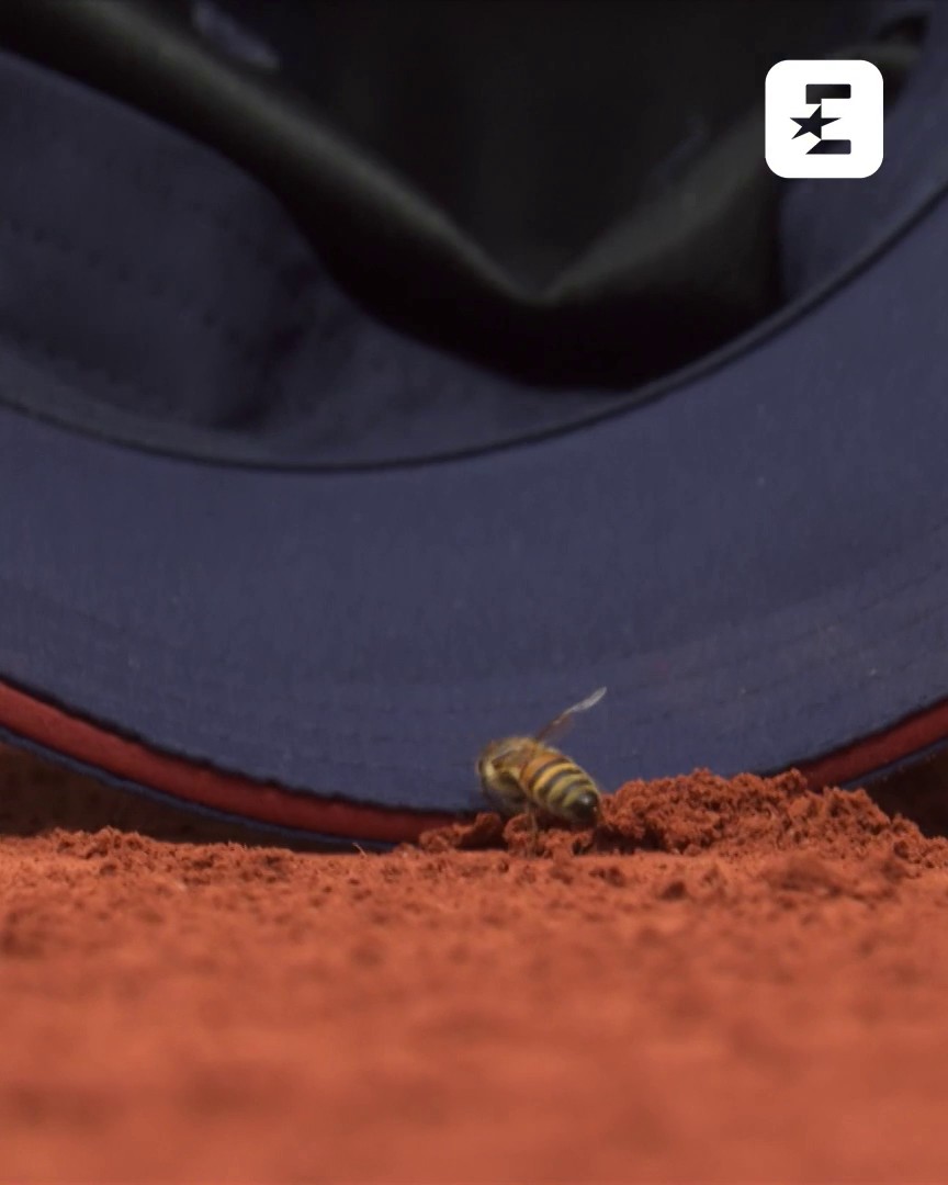 Ma la delicatezza? 😍🐝🧢 #EurosportTennis #RolandGarros