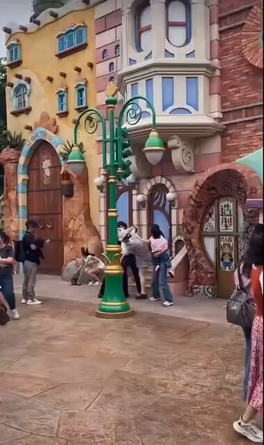 【絶叫】上海ディズニーランドで人民同士がガチ喧嘩 カップル vs 3人家族 「写真の順番をめぐる争い」女が子供を抱いた母を押す