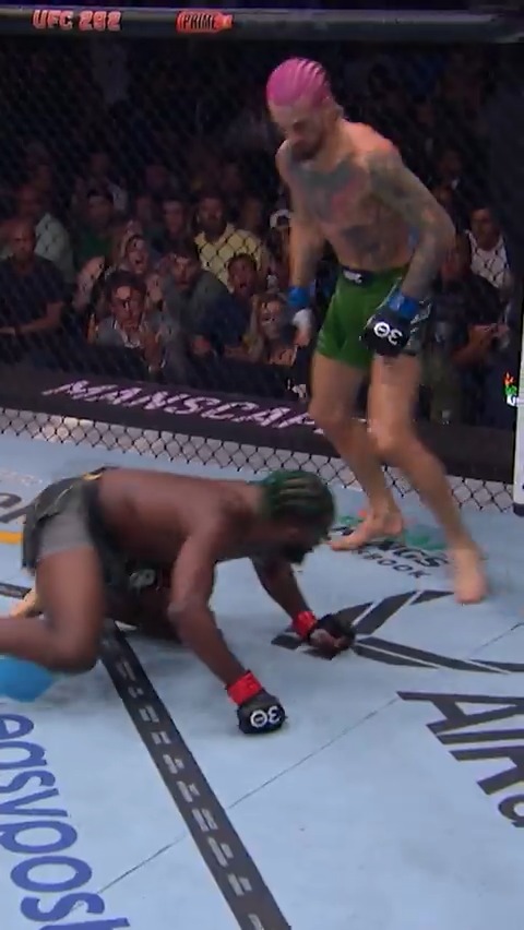 The Suga Show 🍬 #UFC316 Sean O'Malley became a champ with this KO 🏆 💥